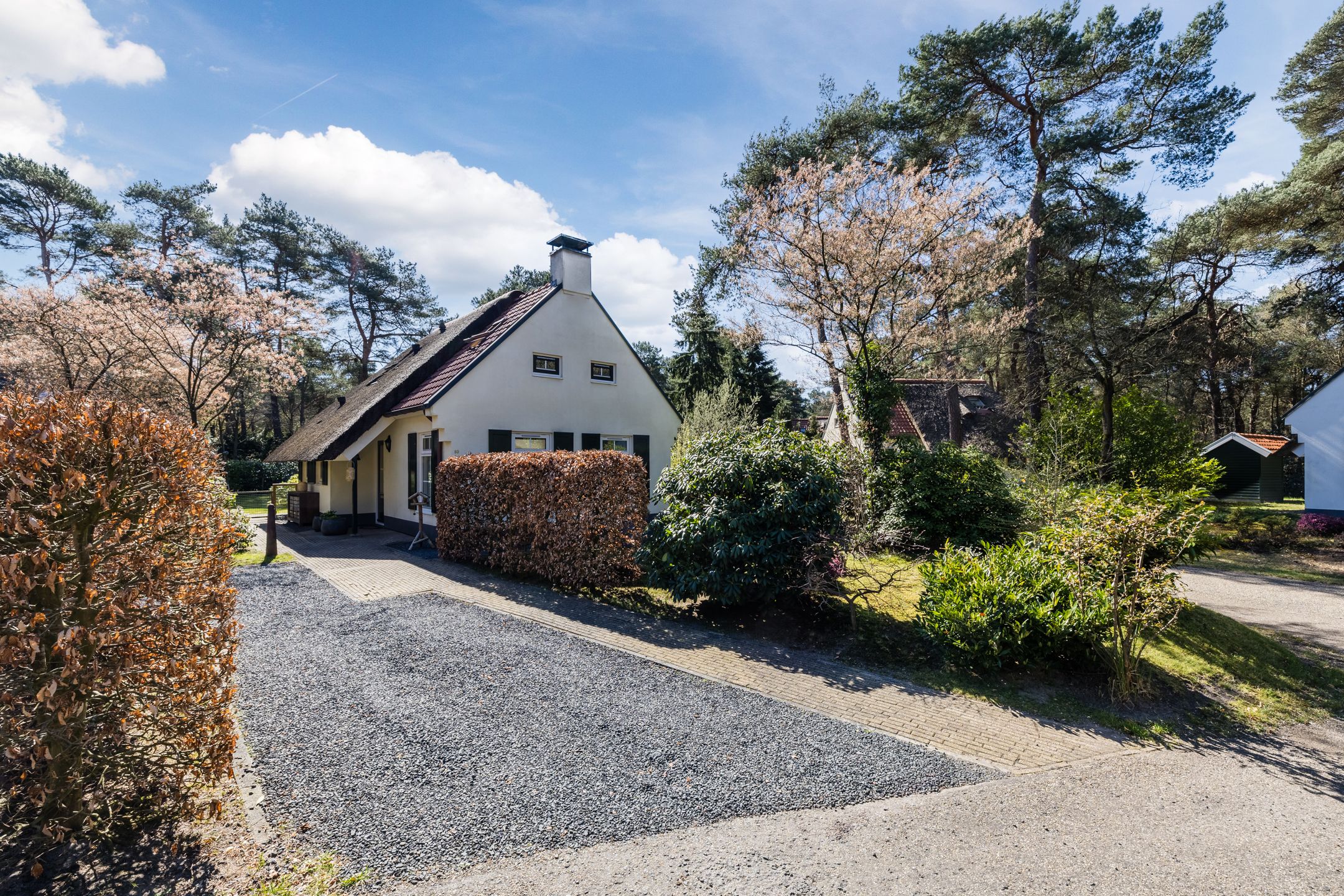 Foto 27 van De Witte Bergen 80