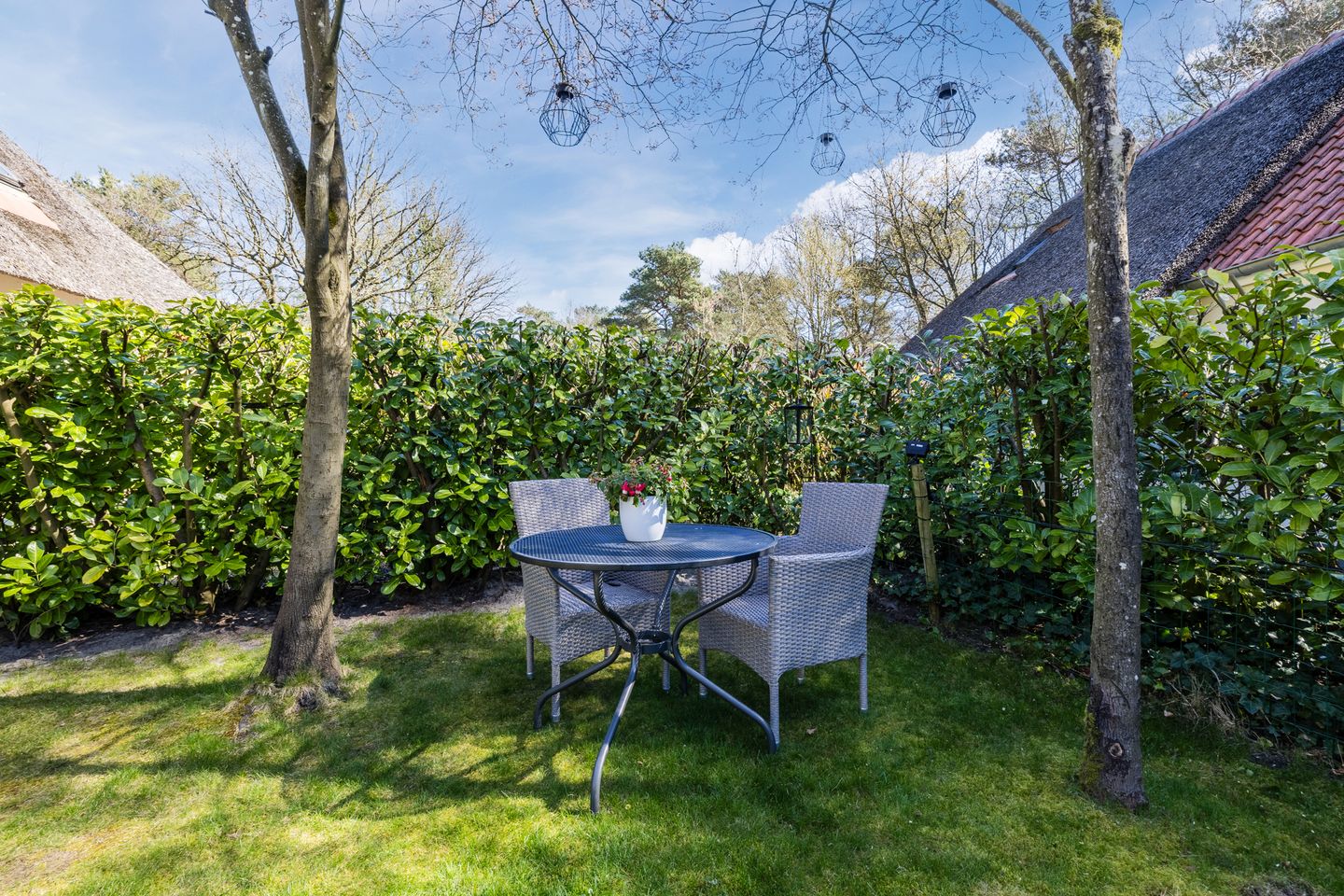 Foto 34 van De Witte Bergen 80