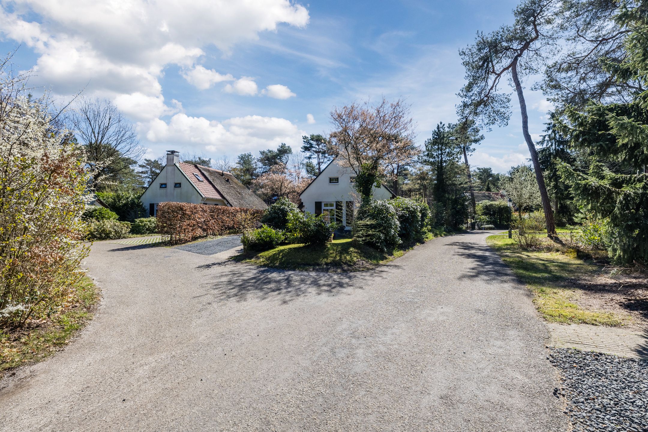 Foto 39 van De Witte Bergen 80