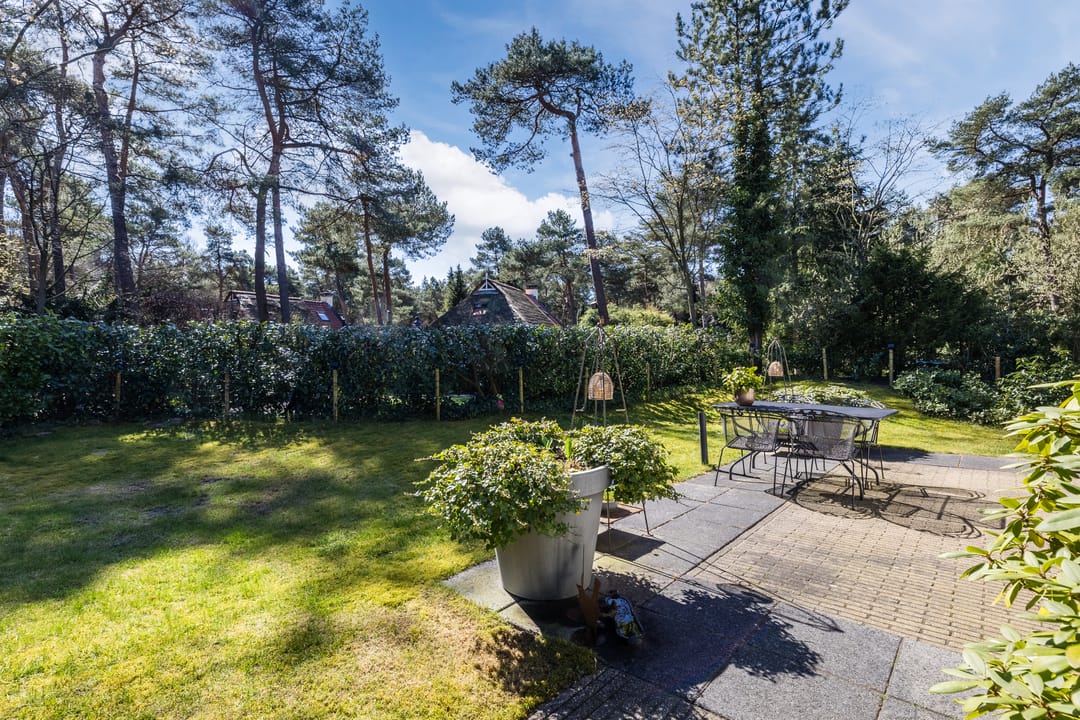 Foto 37 van De Witte Bergen 80