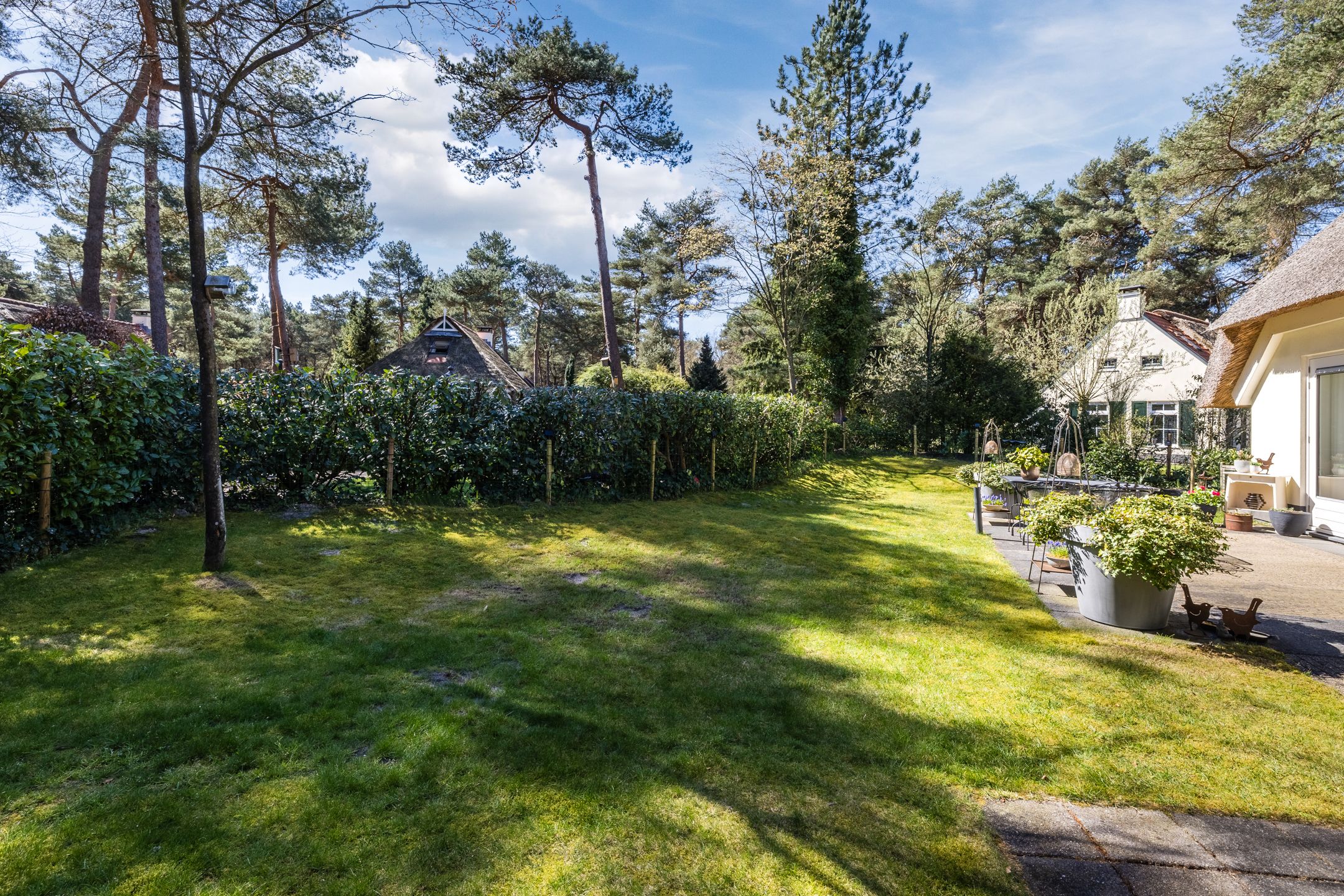 Foto 36 van De Witte Bergen 80