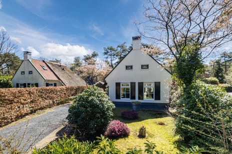 De Witte Bergen thumbnail