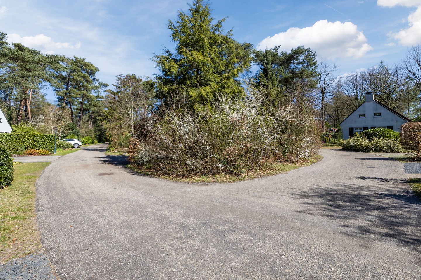 Foto 40 van De Witte Bergen 80