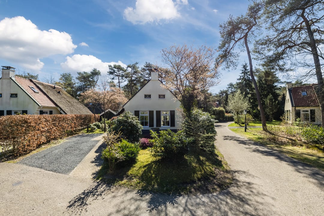 Foto 26 van De Witte Bergen 80