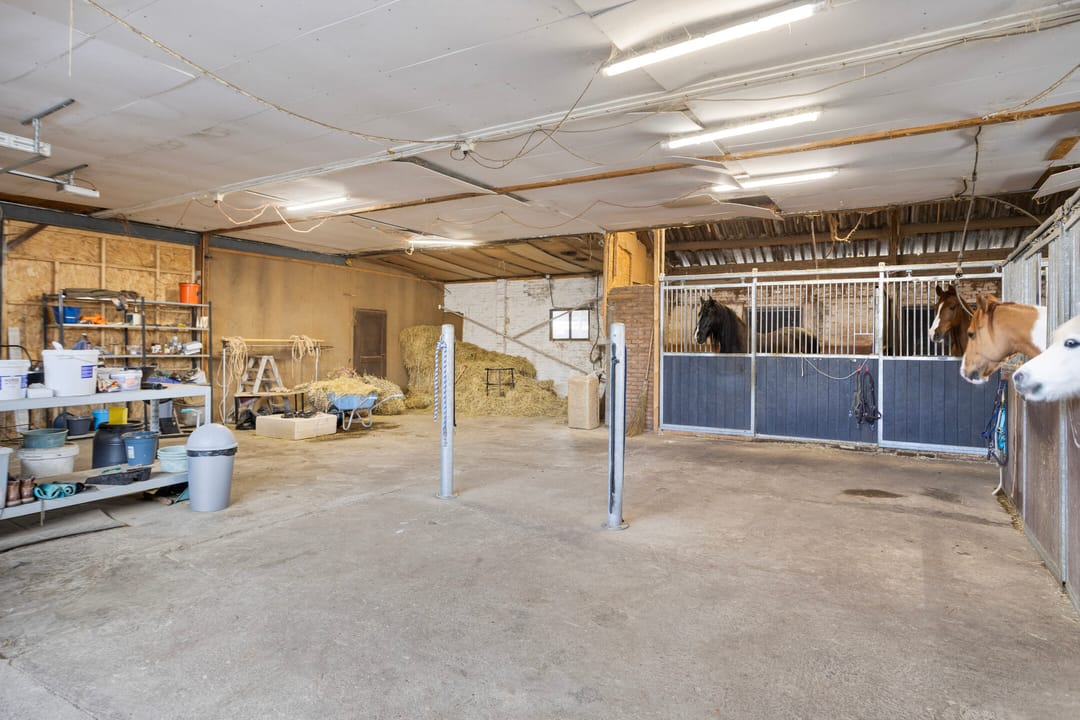 Foto 31 van Eibergsestraat 183