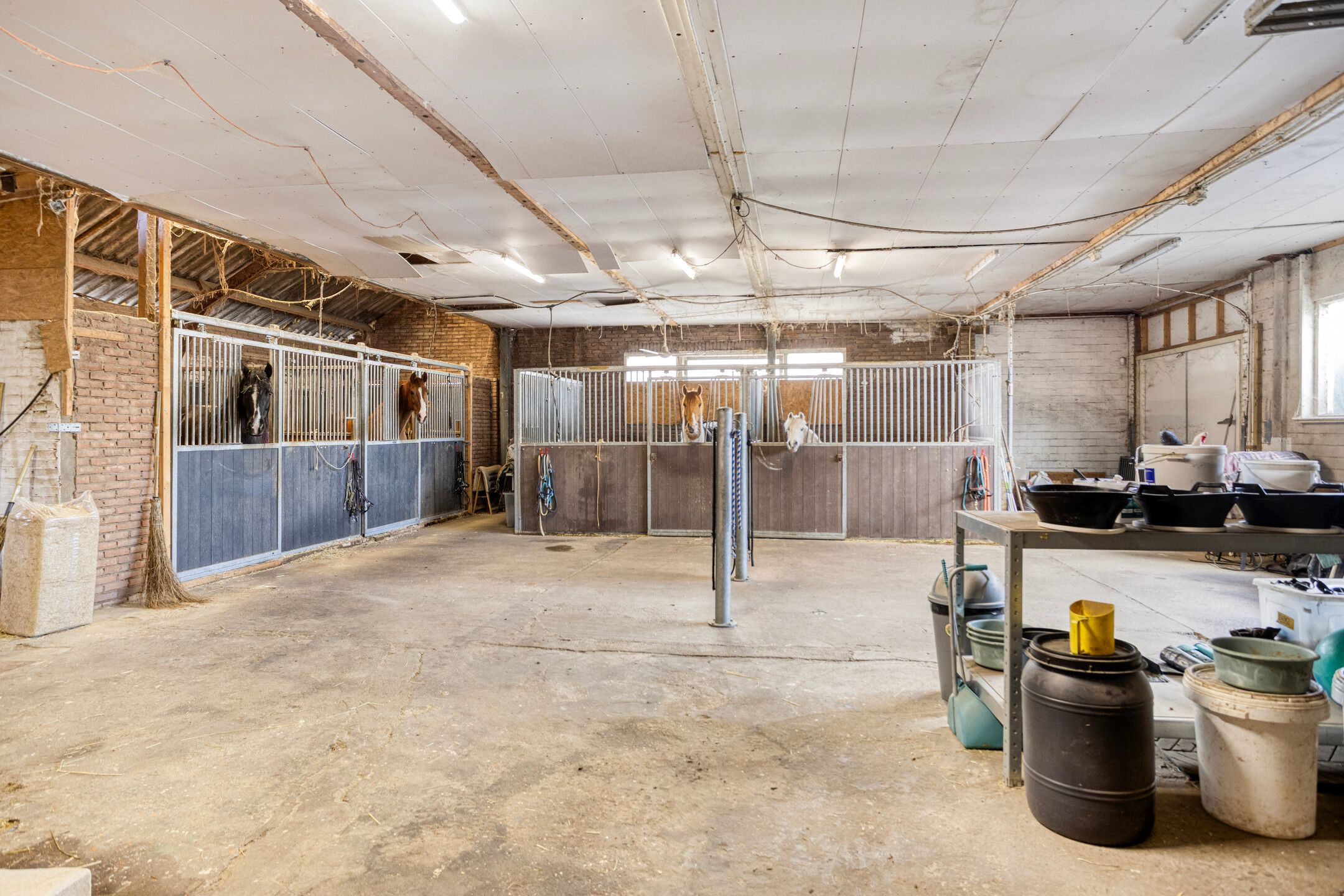 Foto 30 van Eibergsestraat 183