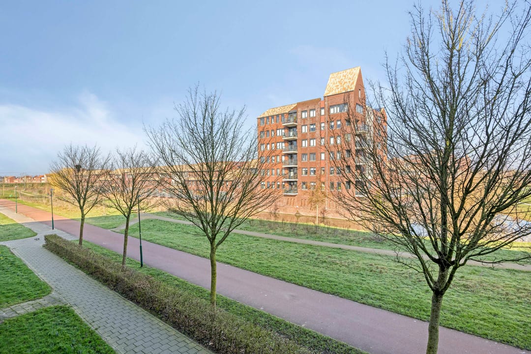 Foto 17 van Parelgras 92