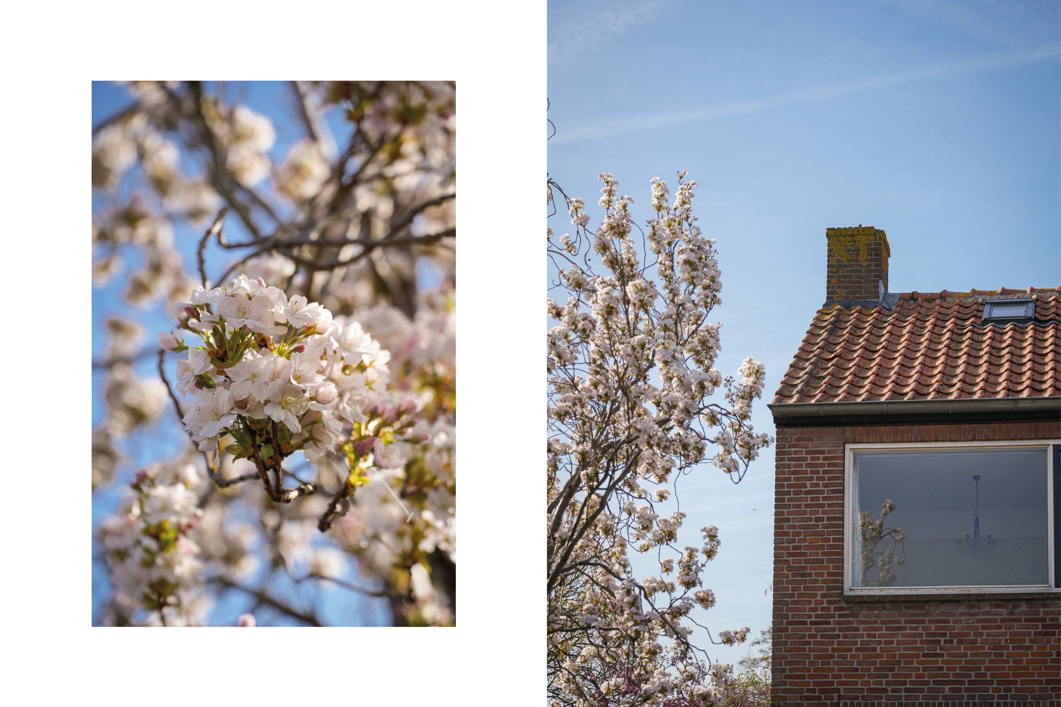 Photo 24 of Dorpsstraat 97