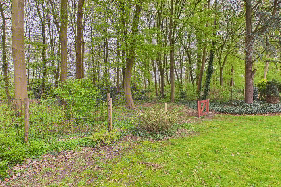 Photo 26 of Poorterslaan 66