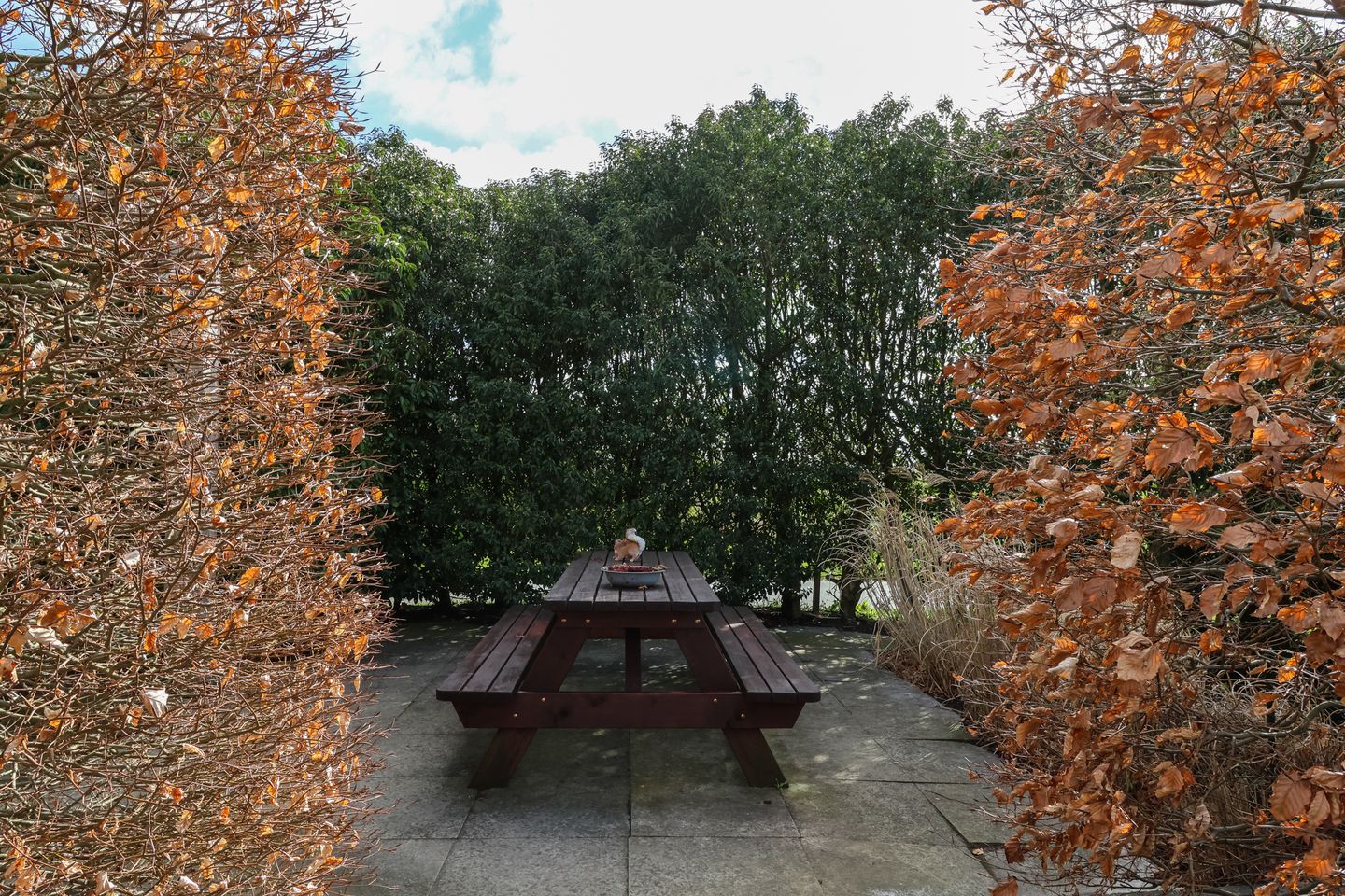 Foto 59 van Suder Stienplaat 125