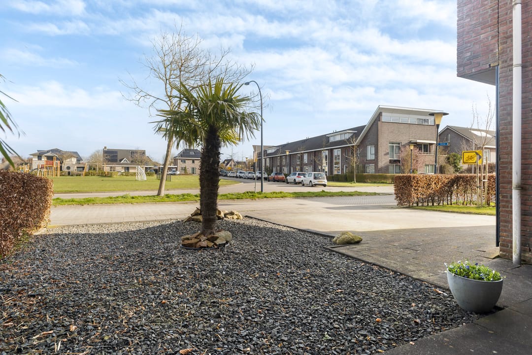 Foto 68 van Suder Stienplaat 125