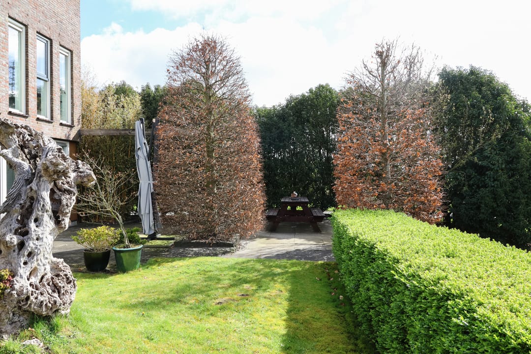 Foto 58 van Suder Stienplaat 125