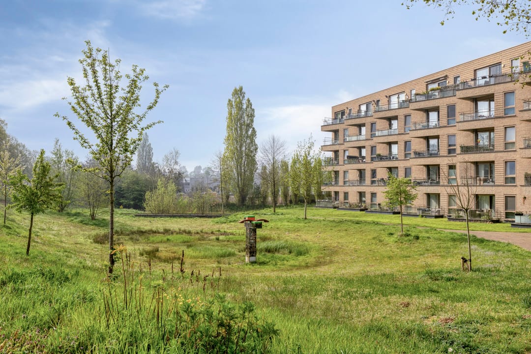 Foto 26 van van Wandelenstraat 3