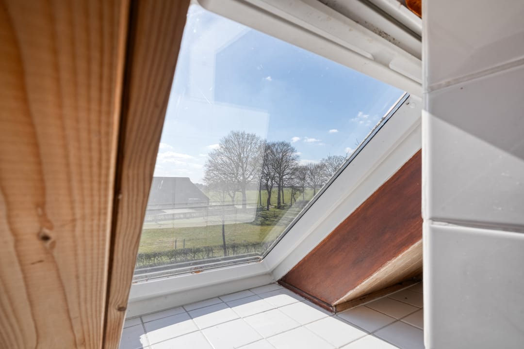 Foto 31 van Voorlanden 20