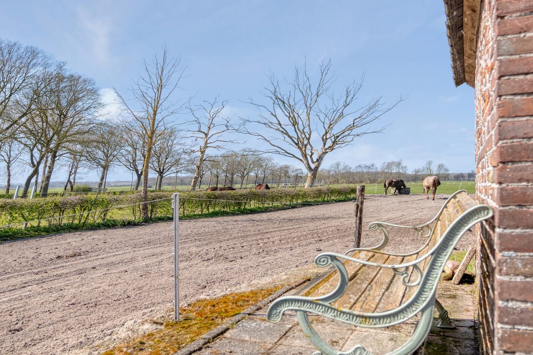 Foto 47 van Voorlanden 20