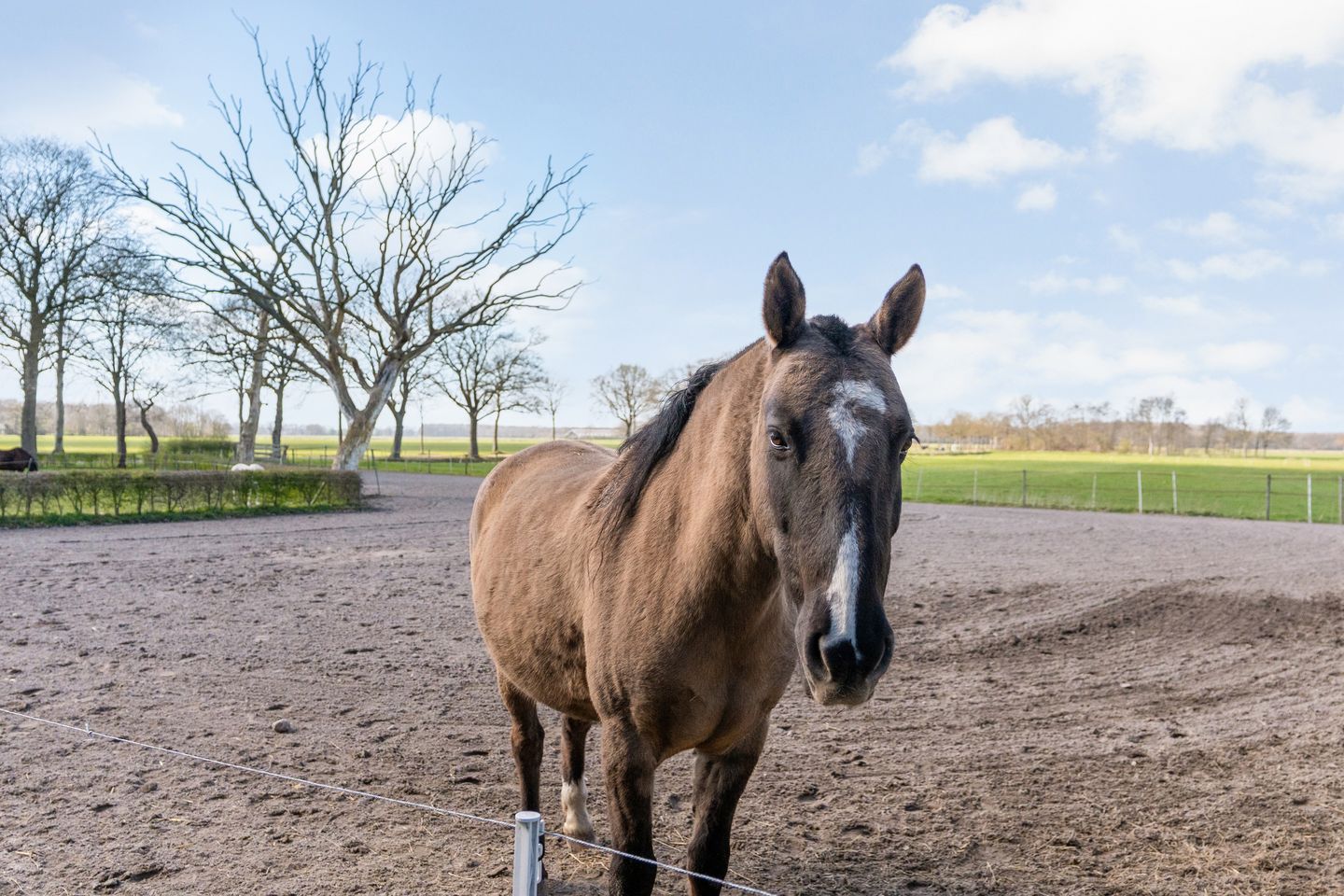 Foto 55 van Voorlanden 20