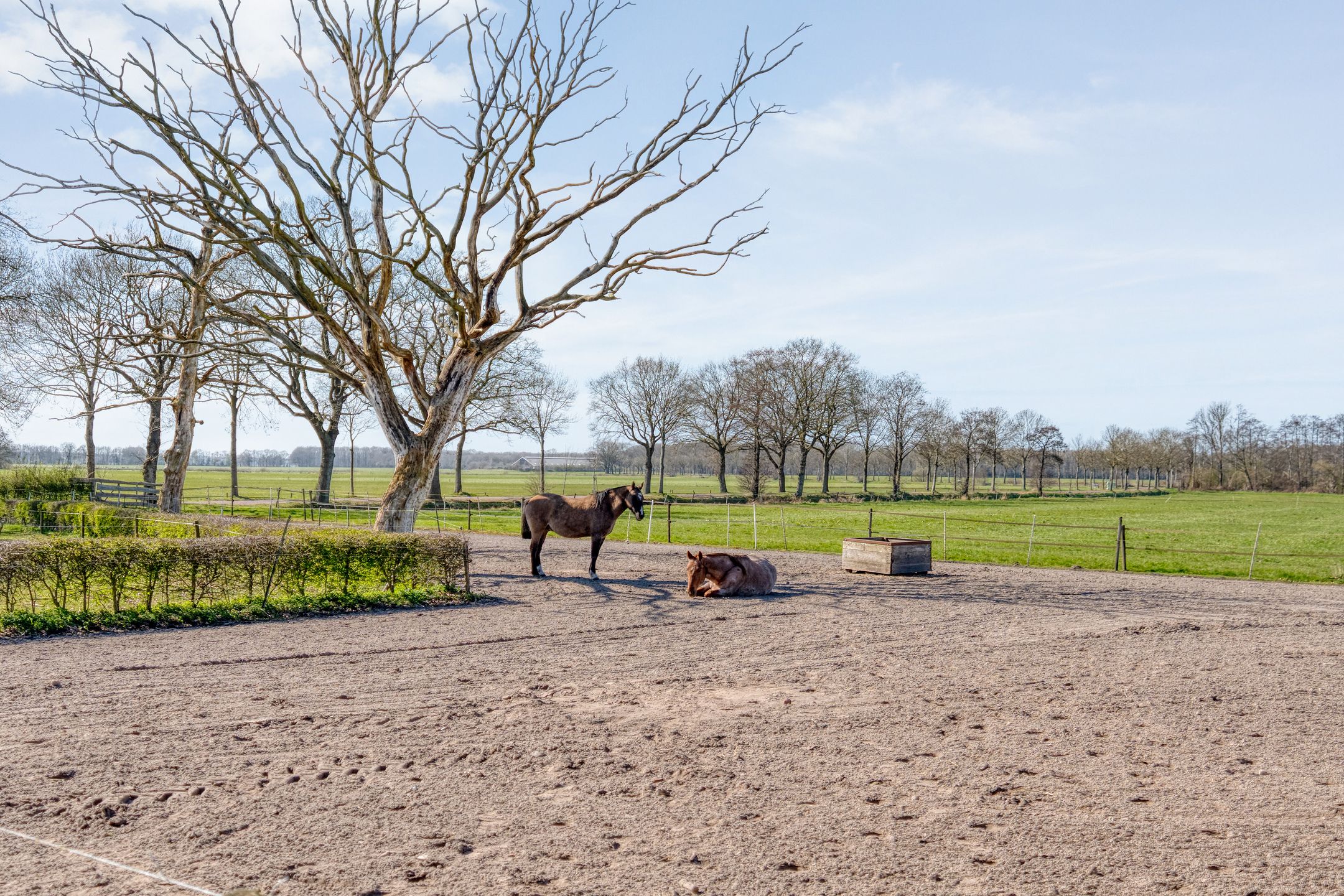 Foto 57 van Voorlanden 20