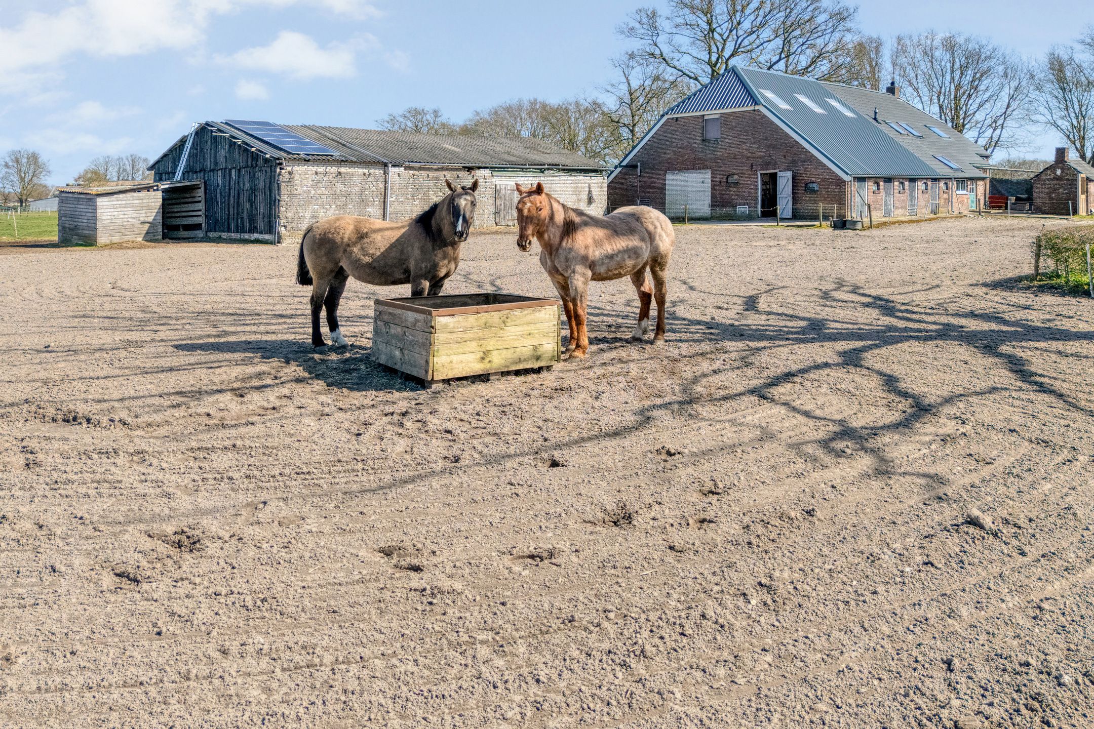 Foto 54 van Voorlanden 20