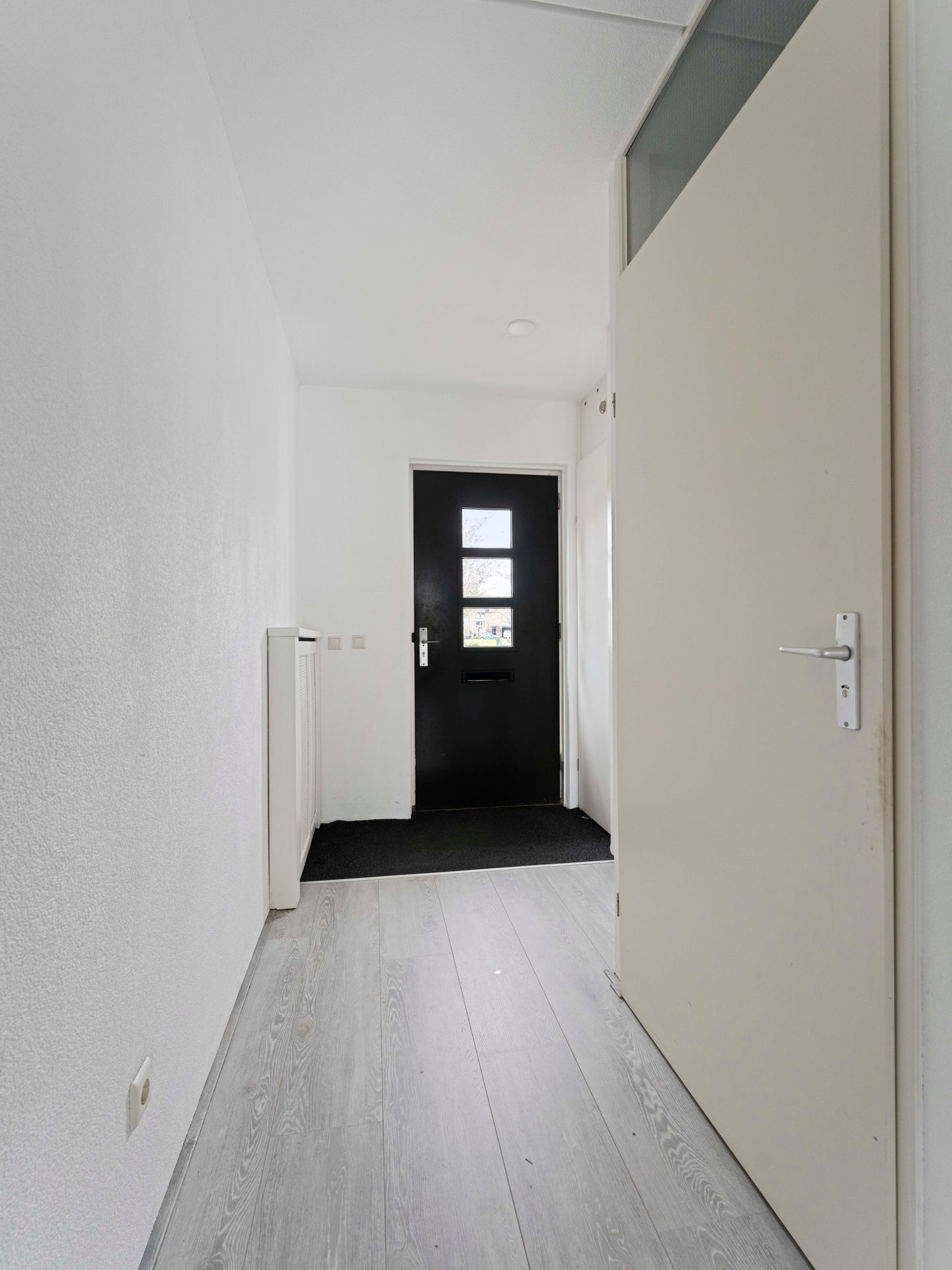 Foto 5 van Meerwedesingel 93