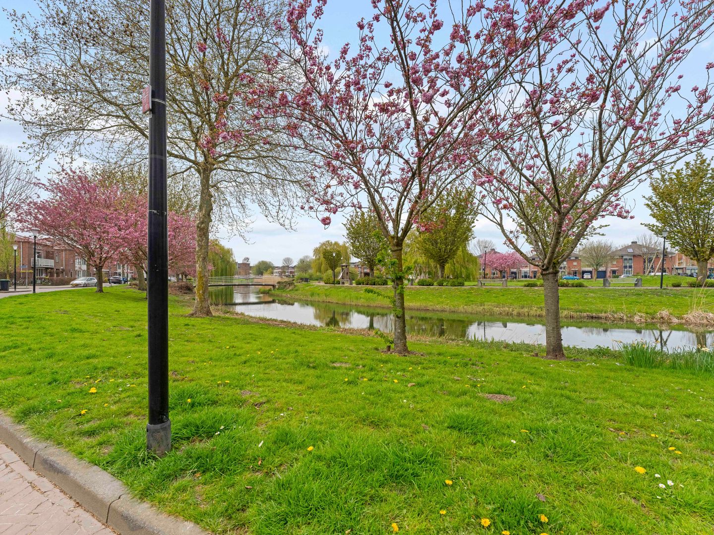 Foto 55 van Meerwedesingel 93