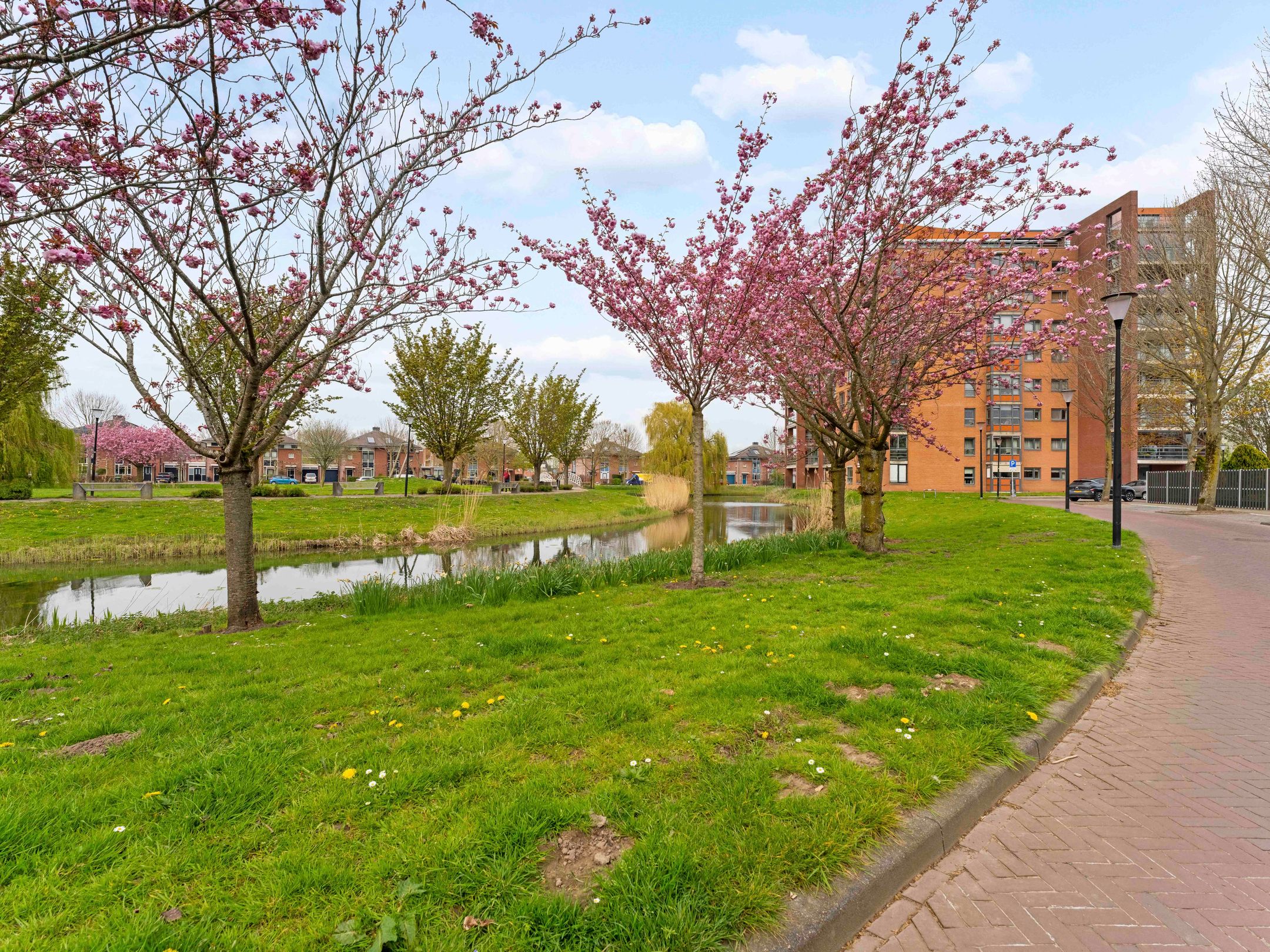 Foto 54 van Meerwedesingel 93