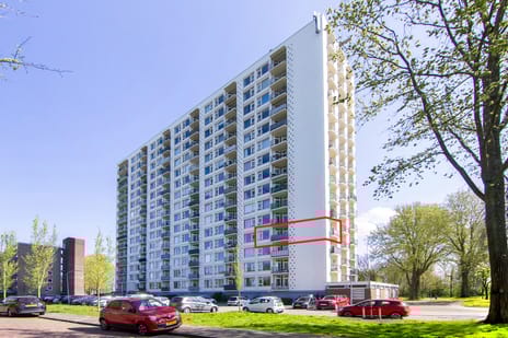 Van Leeuwenhoekstraat thumbnail