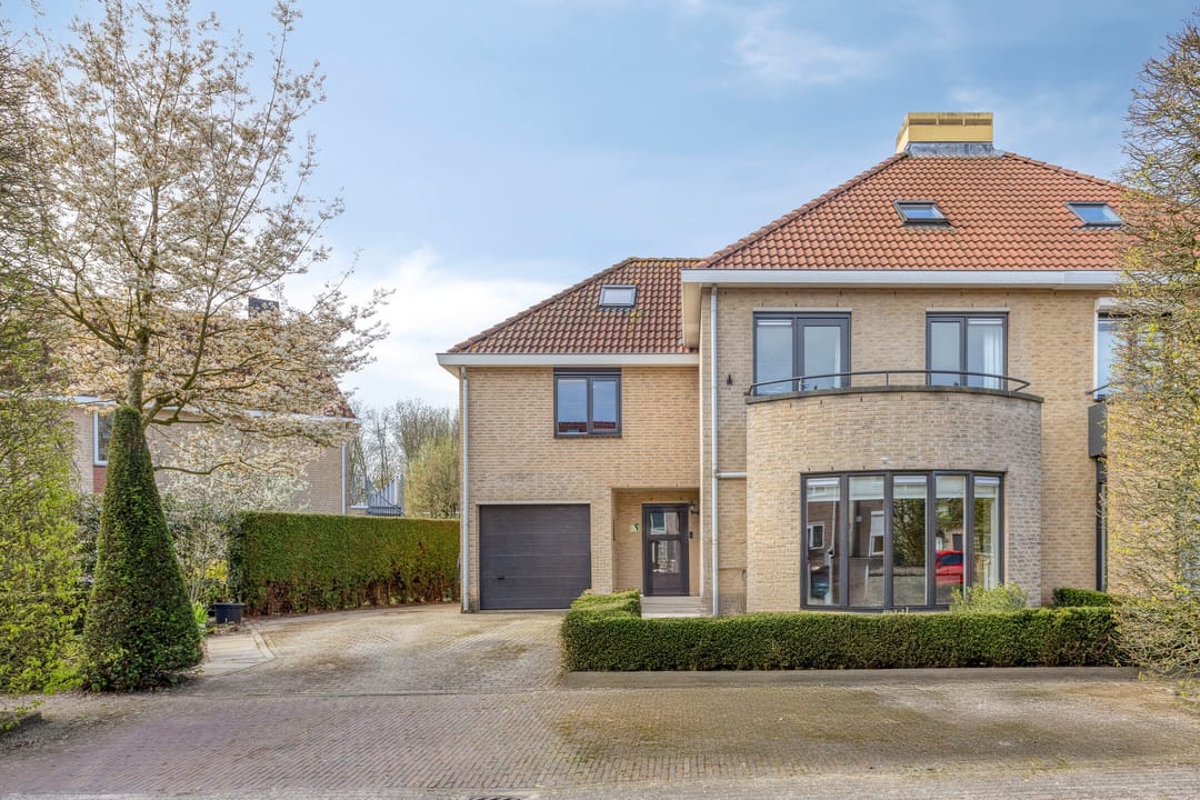 Photo 2 of Koekoek 4