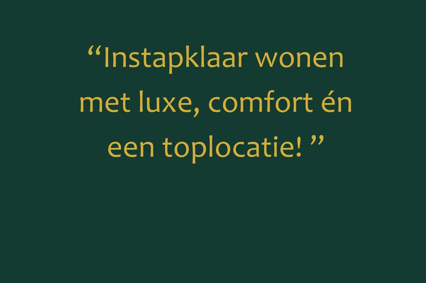 Foto 5 van Zadkinerade 17