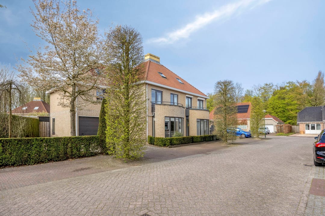 Photo 22 of Koekoek 4
