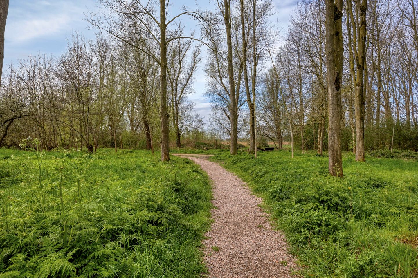 Photo 4 of Koekoek 4