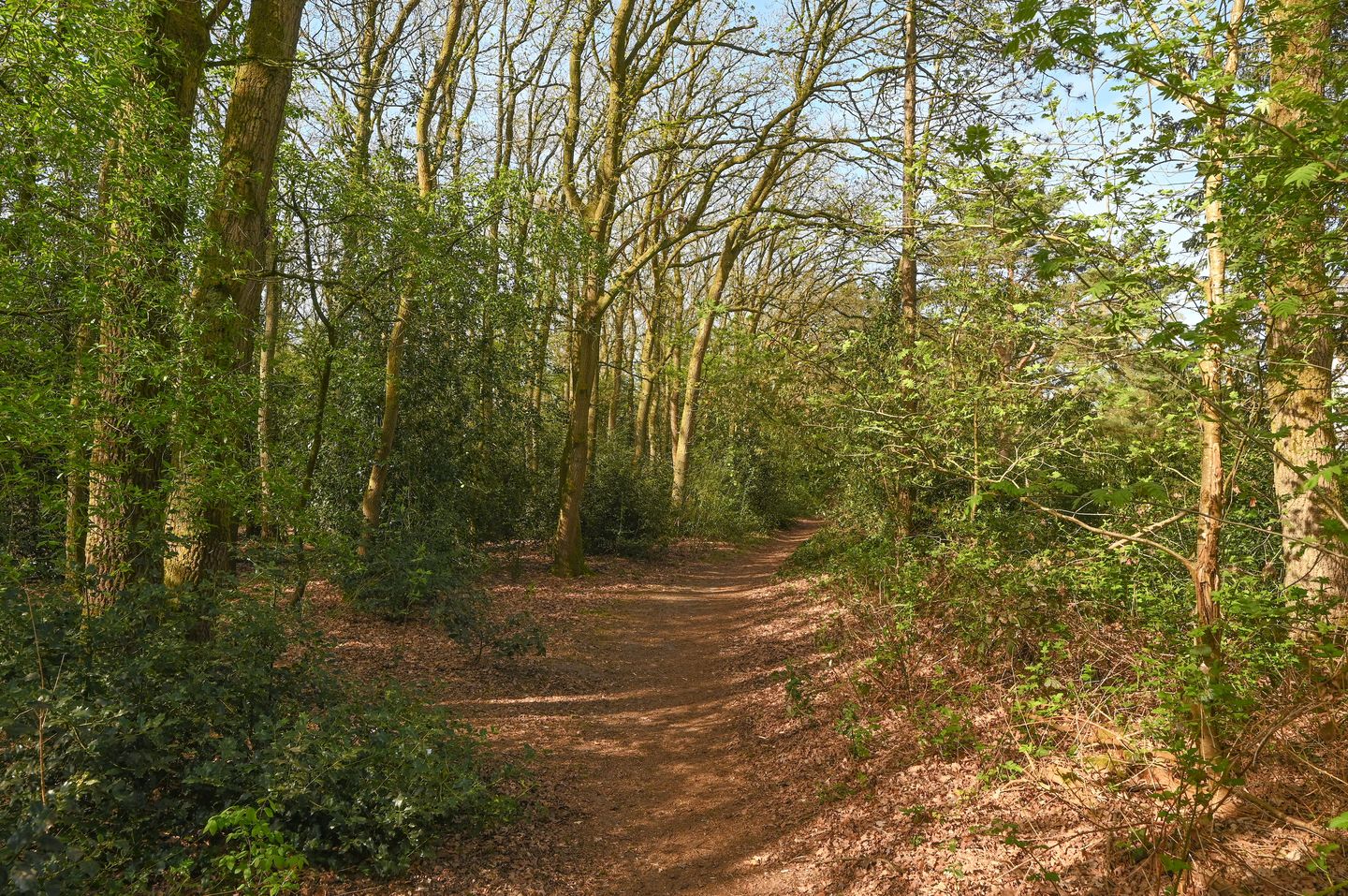 Foto 14 van Barbaragaarde 72