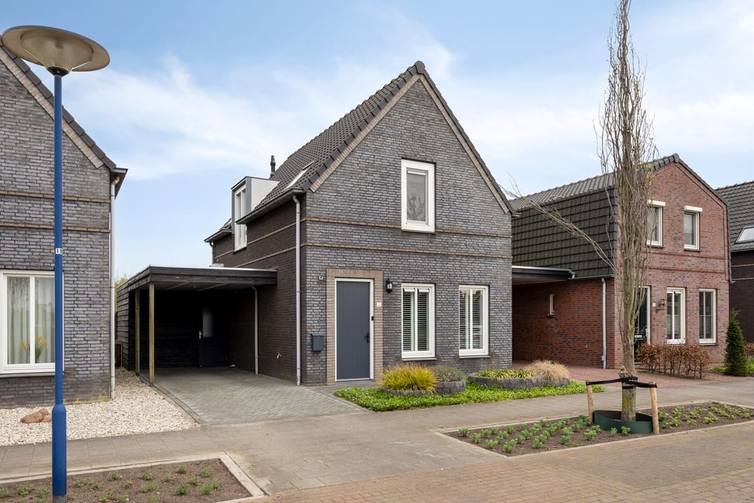 Foto 1 van Wollegras 32