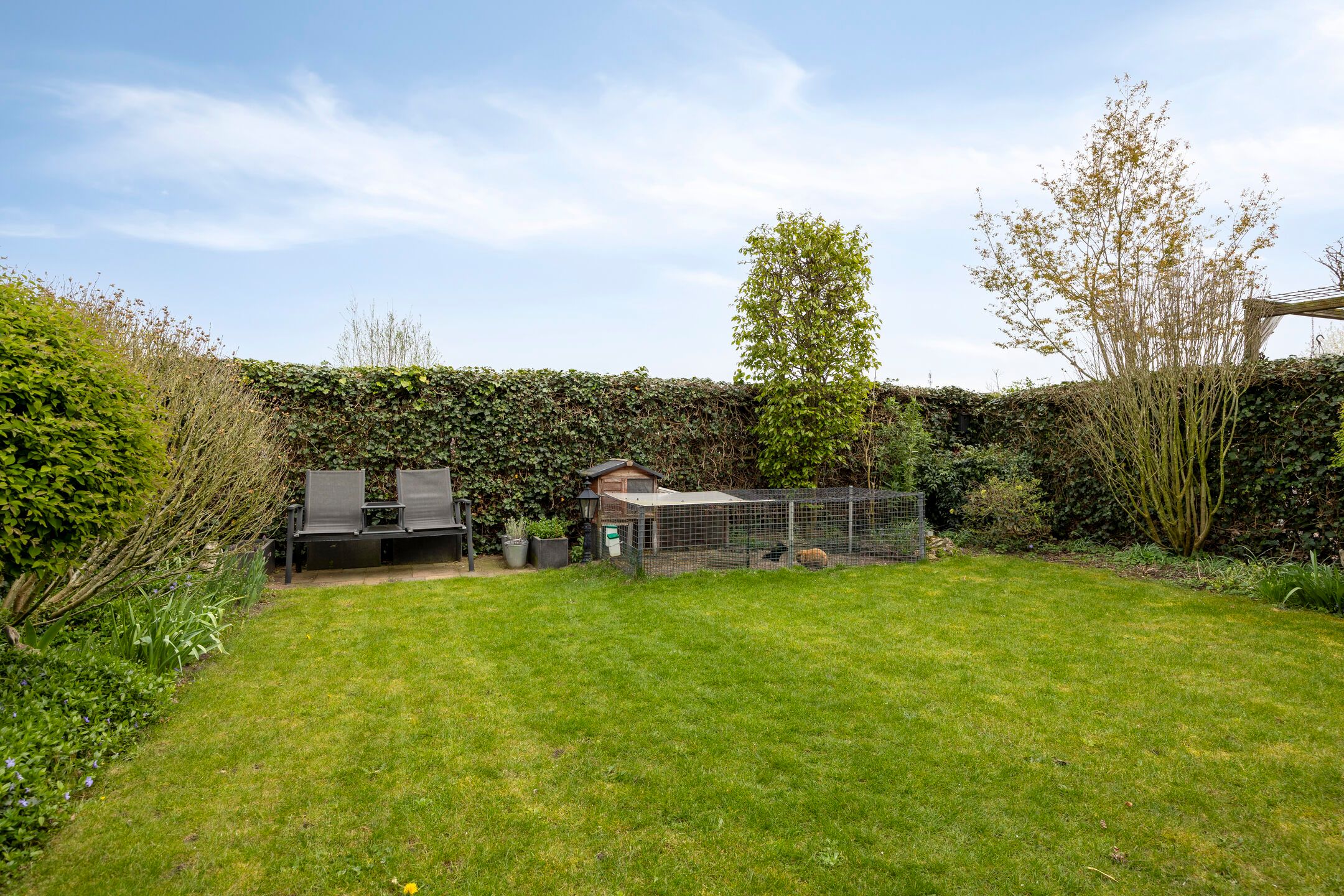 Foto 21 van Wollegras 32