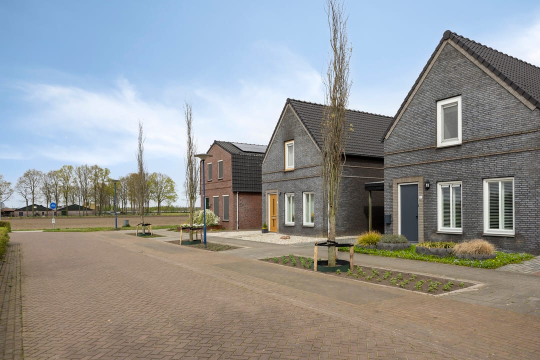 Foto 26 van Wollegras 32