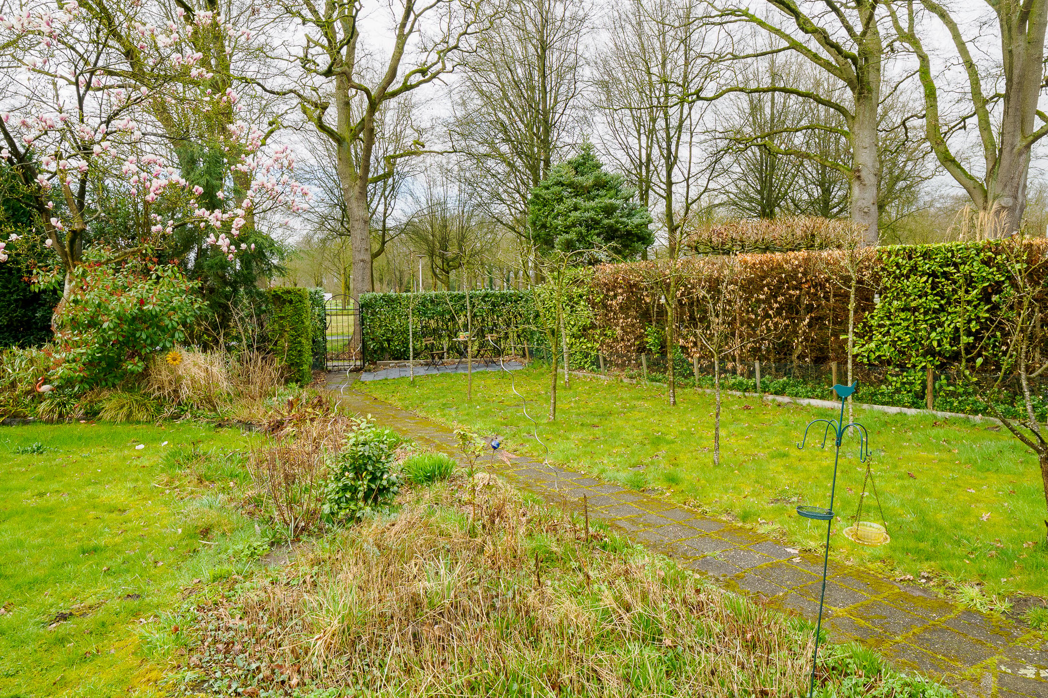 Photo 54 of Paul Pellastraat 54
