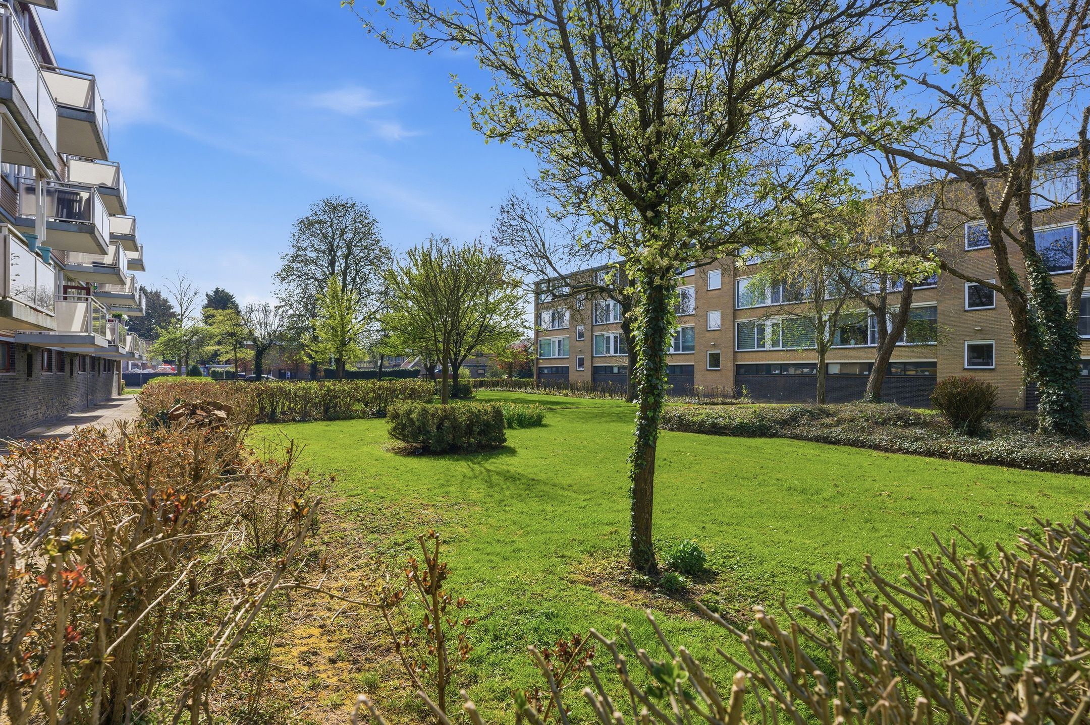 Photo 30 of Van Anrooystraat 151