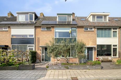 van Poelgeestlaan thumbnail