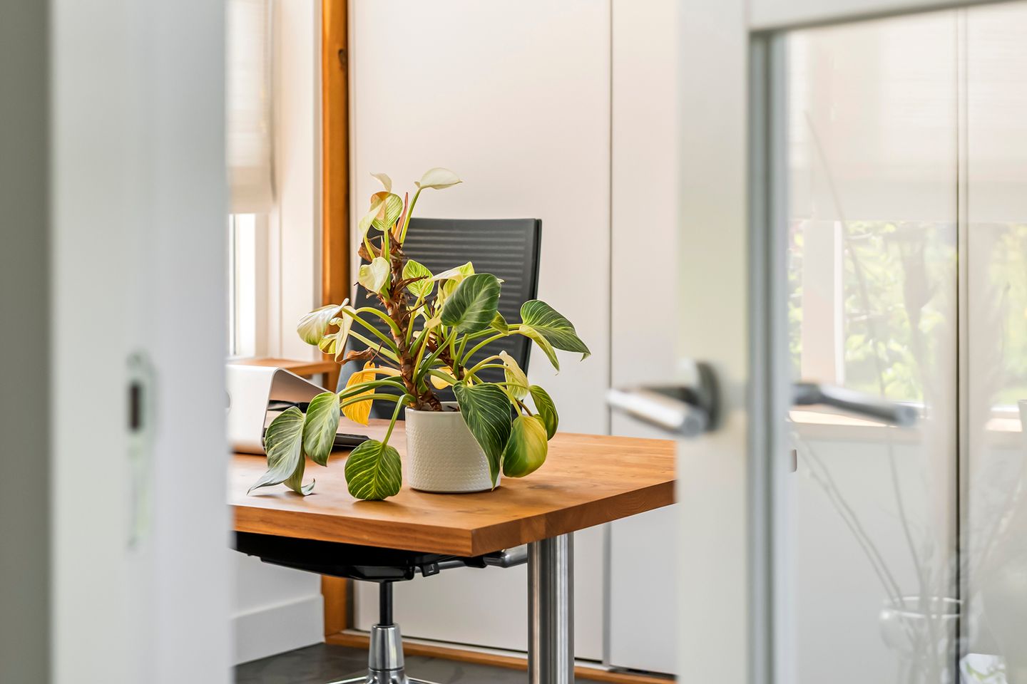 Foto 40 van Willem-Alexanderplein 3