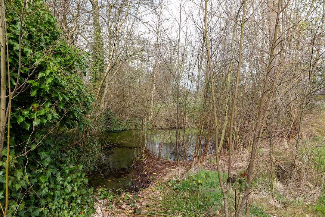 Foto 43 van It Langfal 1