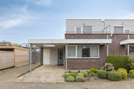 undefined main image