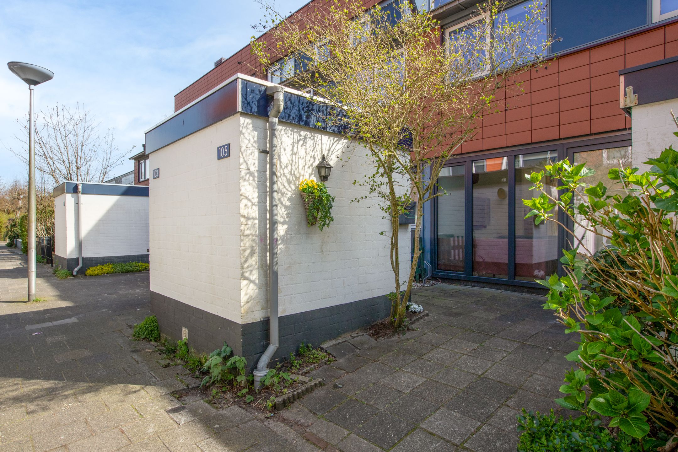 Foto 6 van Rietzoom 105