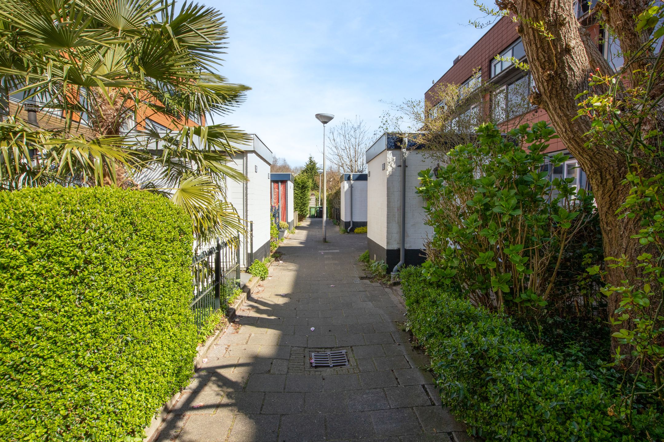 Foto 54 van Rietzoom 105