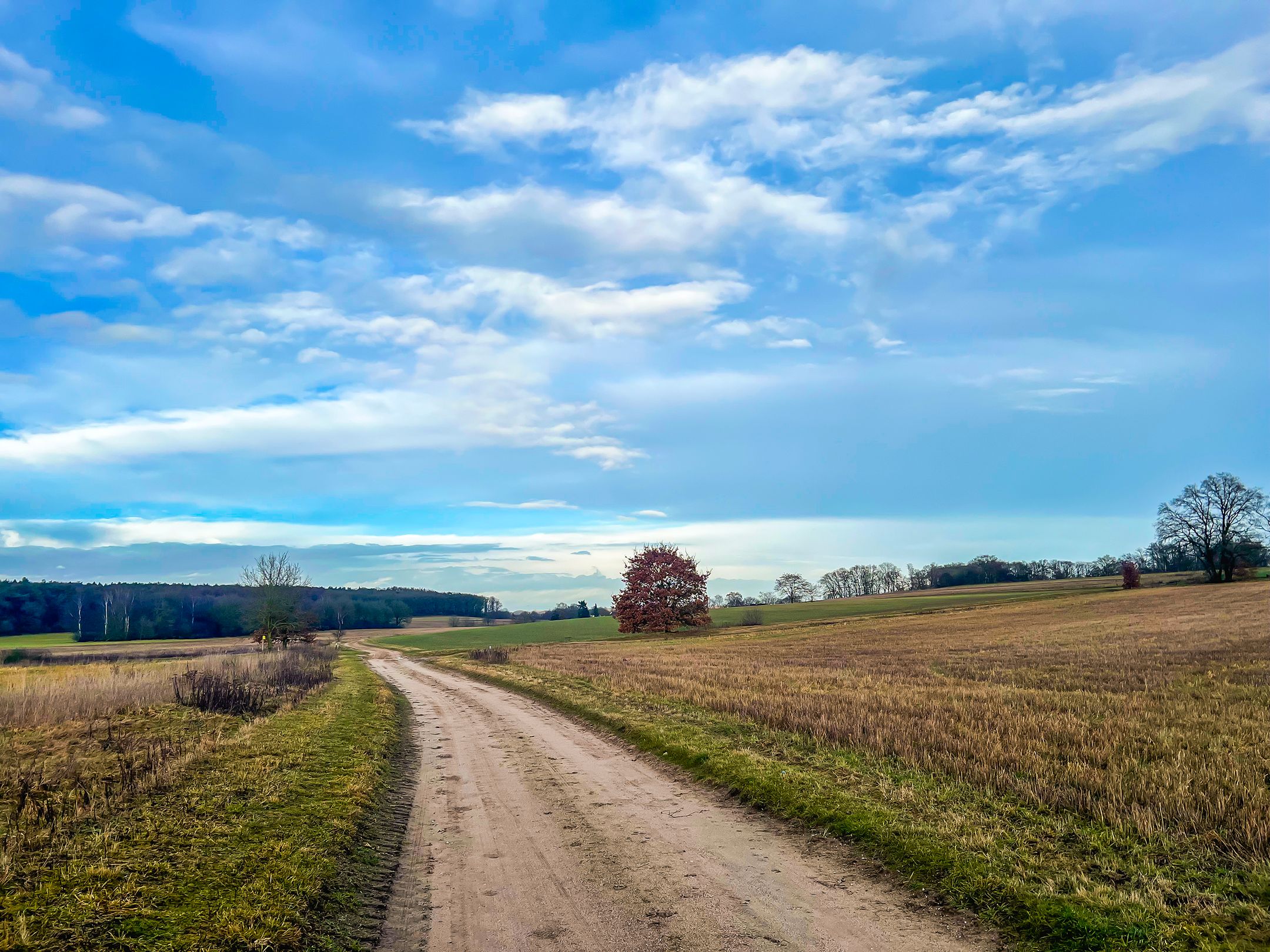 Foto 42 van Benedendorpsstraat 14-A