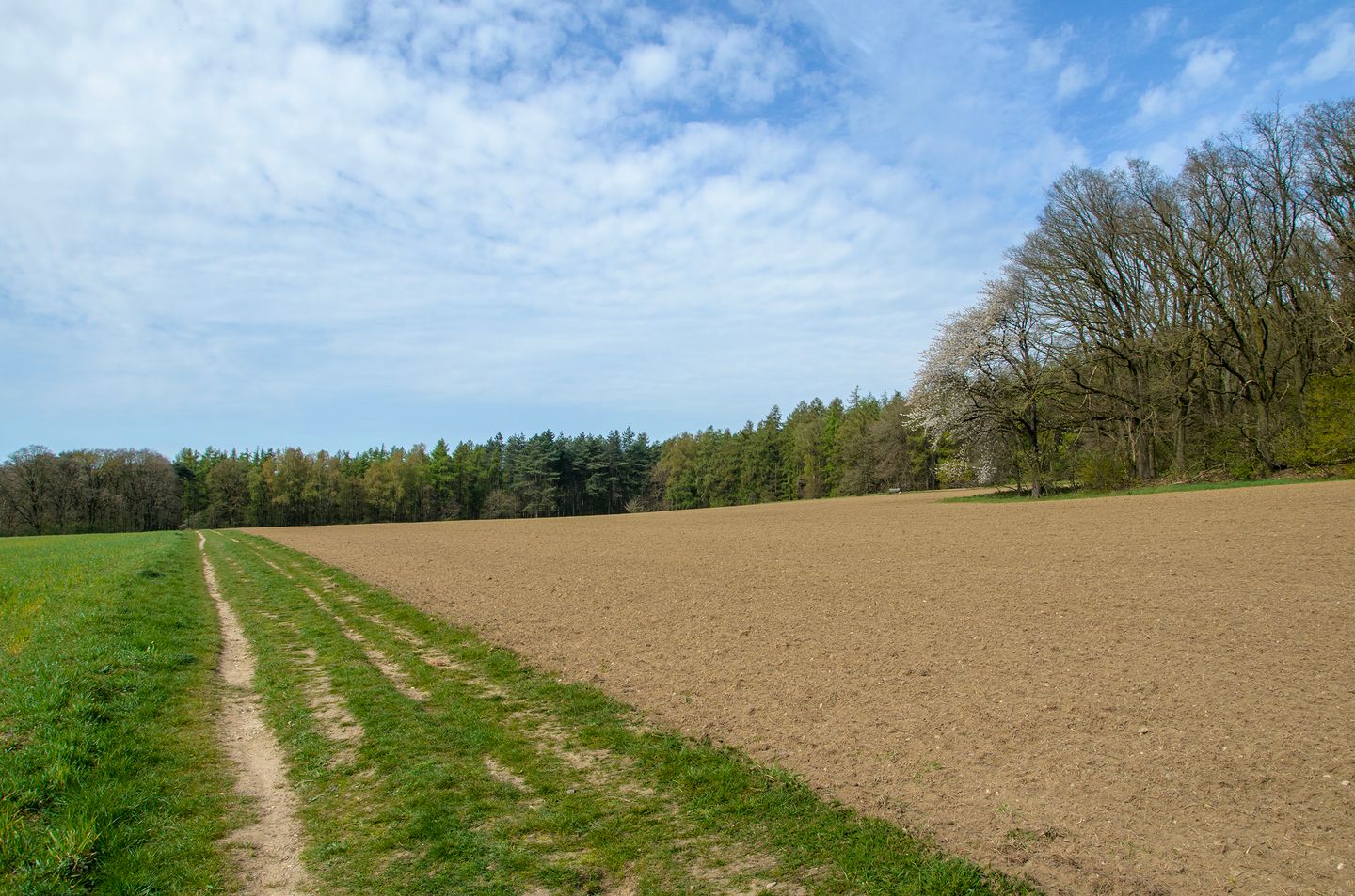 Foto 44 van Benedendorpsstraat 14-A