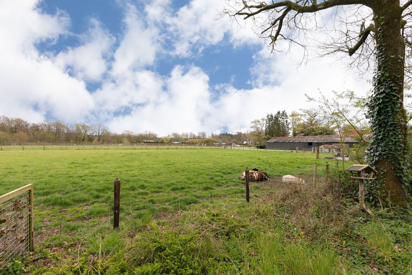 Foto 5 van Wildforsterweg 17-34