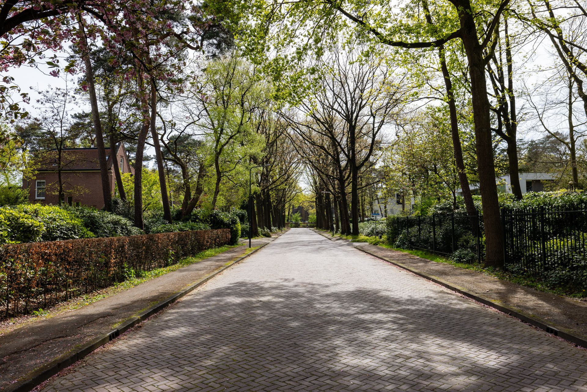 Photo 27 of Montenspark 1