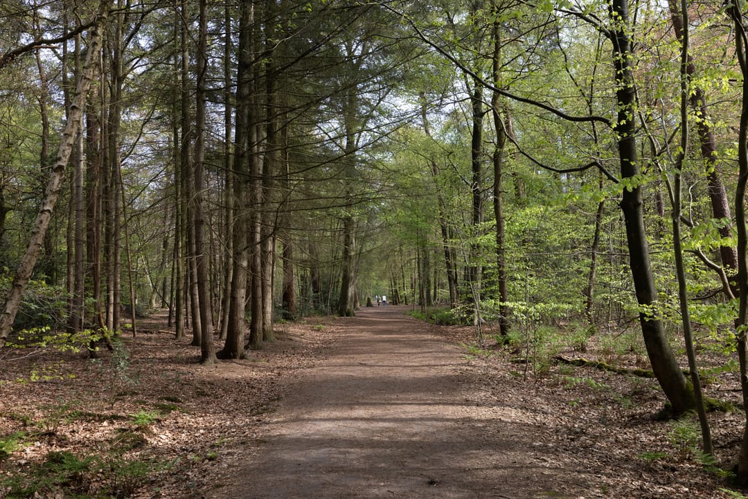 Photo 28 of Montenspark 1