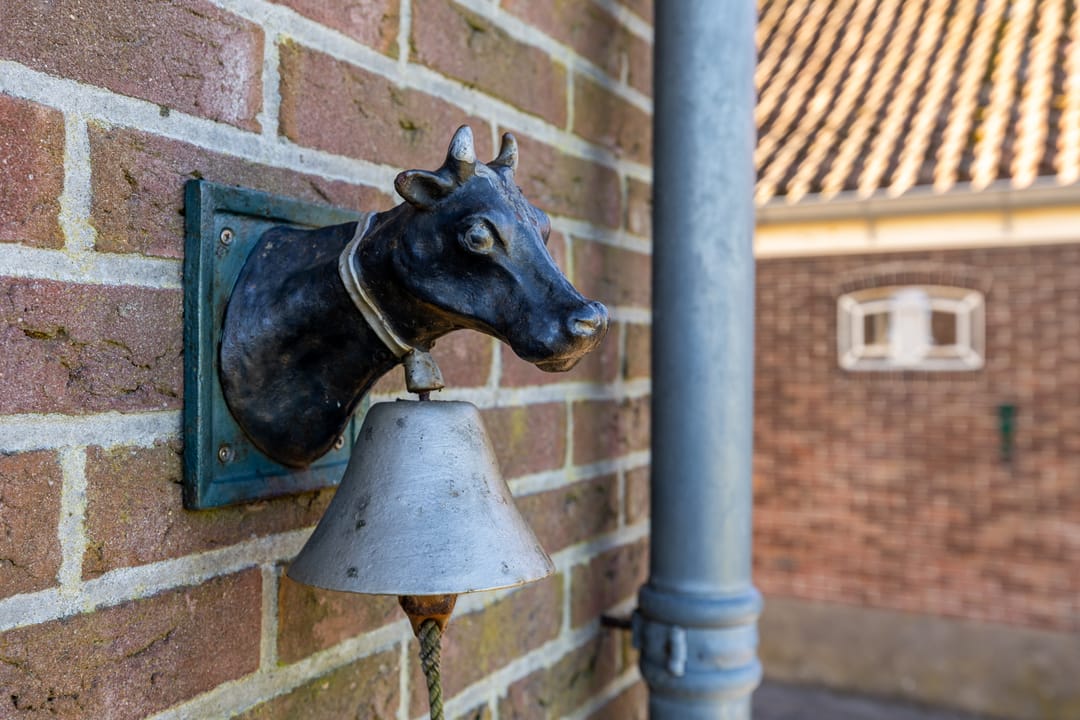 Foto 56 van Warder 36