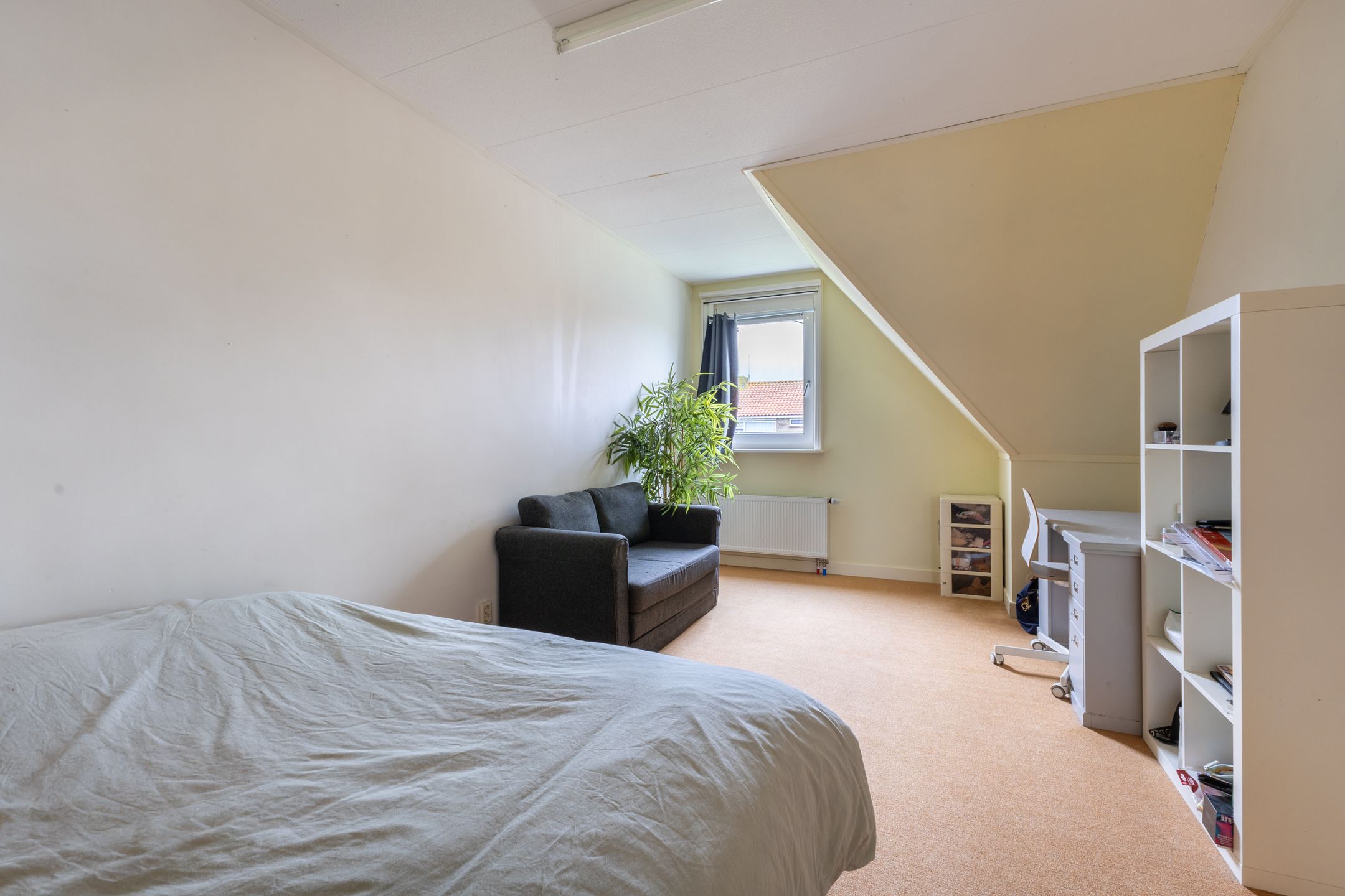 Foto 54 van Warder 36