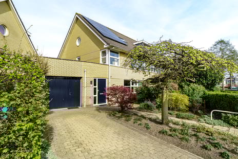 undefined main image